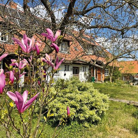 Ferienhof Rauchhaus Karft Exteriör bild