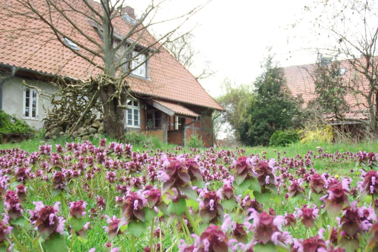 Ferienhof Rauchhaus Karft Exteriör bild